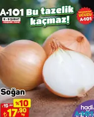 SOĞAN KG SOĞAN KG